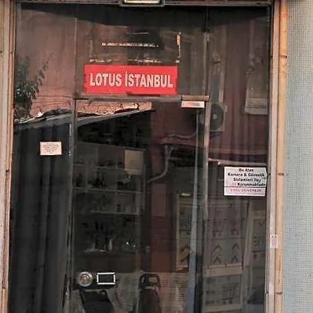 Lotus 호텔